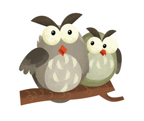 cartoon scene with owl animal on white background - illustration for children