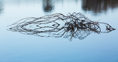 Dry trees submerged in the lake. The branches without leaves are reflected in the calm of the water...