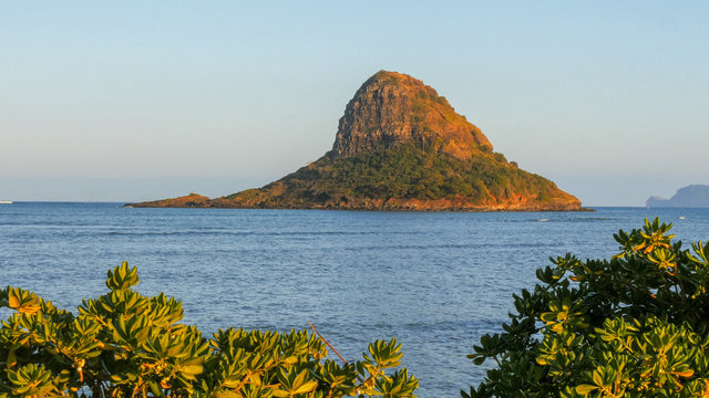 close up shot of Mokoli'i on the windward side of oahu