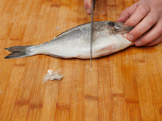 Process of cleaning fish with a knife, removing scales, close up.