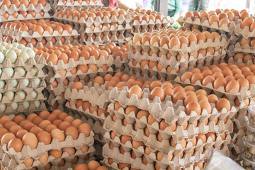 Selling chicken eggs on the market. Quito. Ecuador