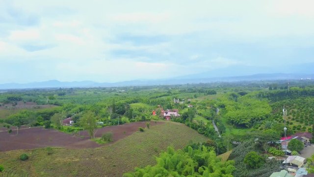 AERIAL: tilting up and pulling down behind some trees to hide the precious Panaca park in Quidio, Colombia, that's been surrounded by coffee plantations.