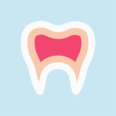 Tooth. Human tooth. Human tooth in the cut. Logo of the tooth. Vector illustration. EPS 10.