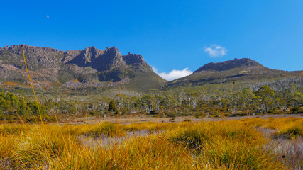 mt ossa and buttongrass plants on the overland track