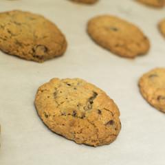 Commercial Kitchen Baking Brownies and Cookies 