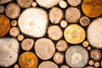 High resolution white brick room