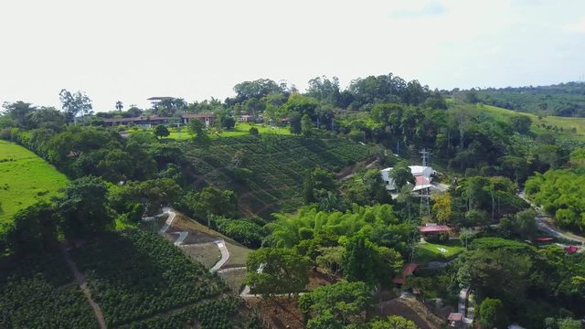 AERIAL: unveiling the fields of coffee near the Parque del Cafe in Quidio, Colombia, that's been surrounded by coffee plantations.