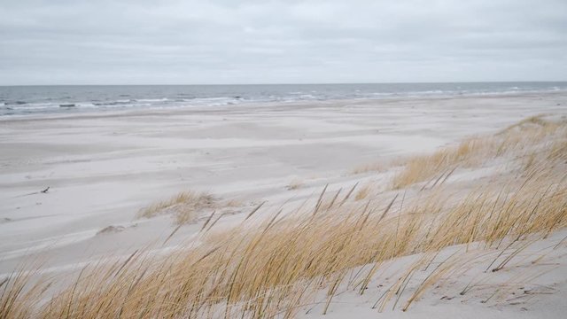 Windy day at empty beach