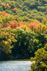 Lost Maples in Autumn