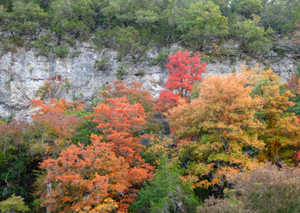 Lost Maples in Autumn