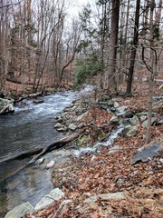 Maryland Creek