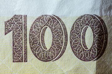 Ukrainian national currency, one hundred hryvnia close up