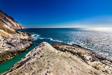 Thousands of cormorants waiting on their colony above the rocks in the cliffs over the sea to go...
