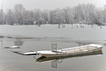 Naklejka premium Danube island (Šodroš) near Novi Sad, Serbia. Colorful landscape with snowy trees, beautiful frozen river. A boats covered with snow or submerged.
