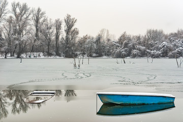Naklejka premium Danube island (Šodroš) near Novi Sad, Serbia. Colorful landscape with snowy trees, beautiful frozen river. A boats covered with snow or submerged.