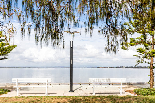 Two white benches sit on the waters edge. It is morning and the ocean is calm. Tree branches overhang the top of the image.