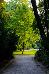 Path in park 