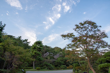 Fototapeta premium 空