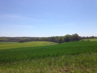 Obraz premium American life / Country pastures.