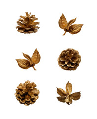 golden pine cones and leaves isolated on white