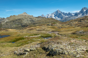 Reserve Naturelle de Carlaveyron near Chamonix and Mont Blanc, France