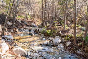 Hiking in the Millard Trail towards the Millard Falls