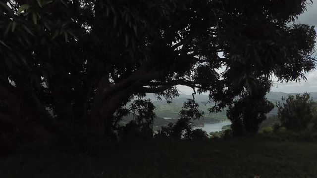 AERIAL: flying through a silhouetted mango tree to reveal the valley, containing a lake and dam, within the mountain tops of Utuado, Puerto Rico.