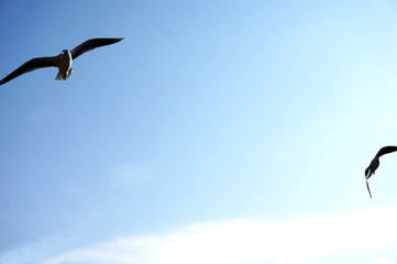 空