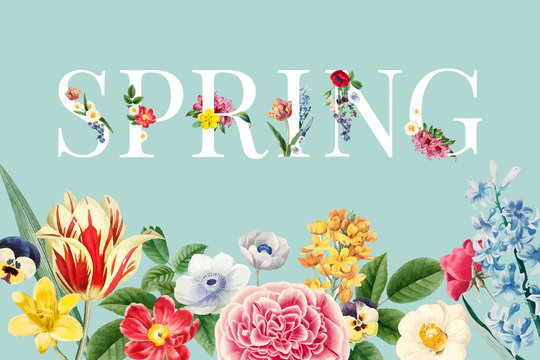 Spring floral background illustration