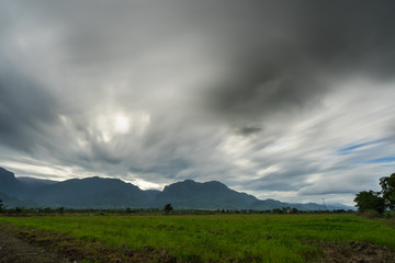Obraz premium Paddy rice field with storm clouds and Doi Nang Non Mountains background in Chiangrai Thailand