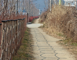 겨울의 방천길