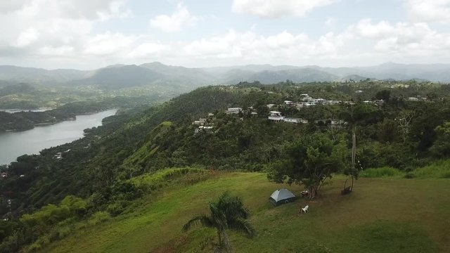 AERIAL: pulling away from palm trees on the mountain tops of Utuado, Puerto Rico.