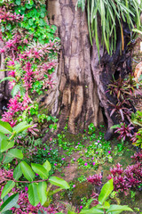 Stone and green moss decoration in japanese garden./ Stone steps and green moss decoration in japanese garden..