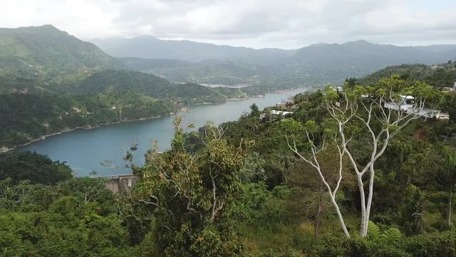 AERIAL: rotating around a skinny tree to reveal the mountain tops of Utuado, Puerto Rico.