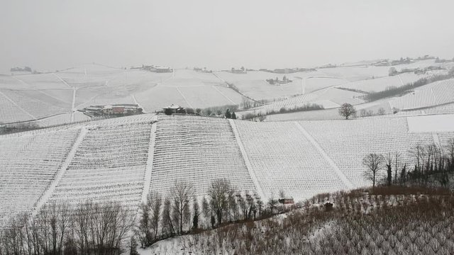 aerial video of Vineyard in winter time with snow