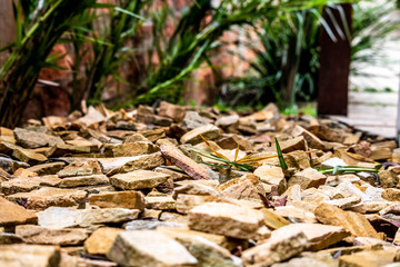 ROCKS