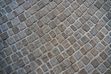 circle floor pave element. architecture floor material theme