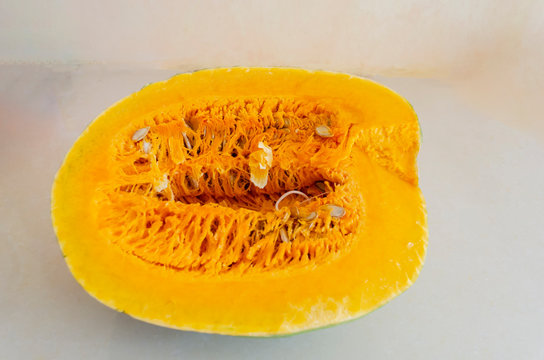 Kalabasa Pumpkin Crossection