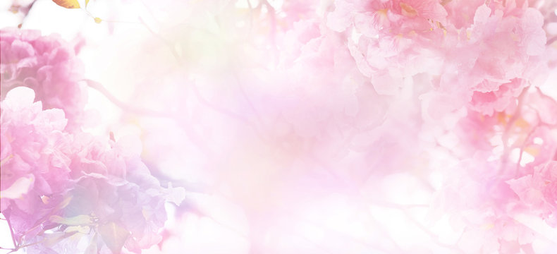 Abstract floral backdrop of pink flowers with soft style.
