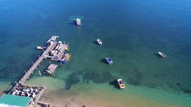 warf in a blue ocean, flying sideways