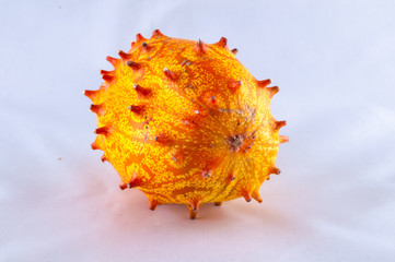 Kiwano (Cucumis metuliferus)