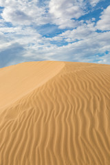 The Algodones Sand Dunes in California