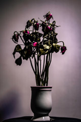 Rose dried in a ceramic vase. Left in the room with shadows.soft focus.