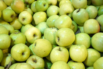 Fresh picked green apples background in the harvest season