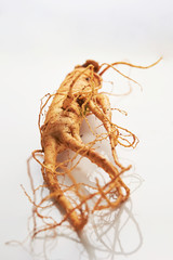 ginseng isolated on white background