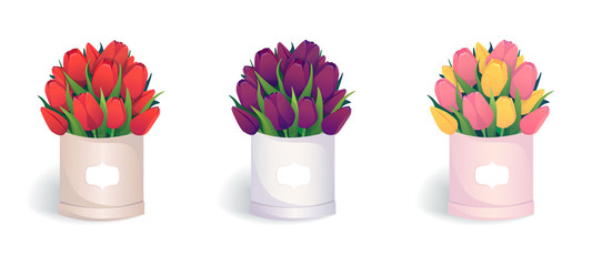 Bouquets of colorful  tulips vector illustration. Red, purple, pink and yellow flowers in round hat boxes, bouquete of flowers isolated on transparent background