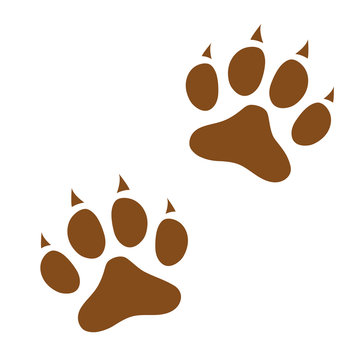 Two dog paw print icon isolated on white background.