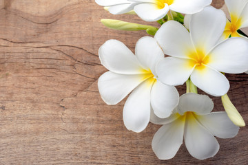 Fototapeta na wymiar White frangipani flowers are placed on wooden boards