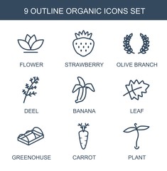 Obraz na płótnie Canvas organic icons