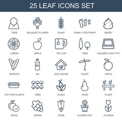 Naklejka premium 25 leaf icons